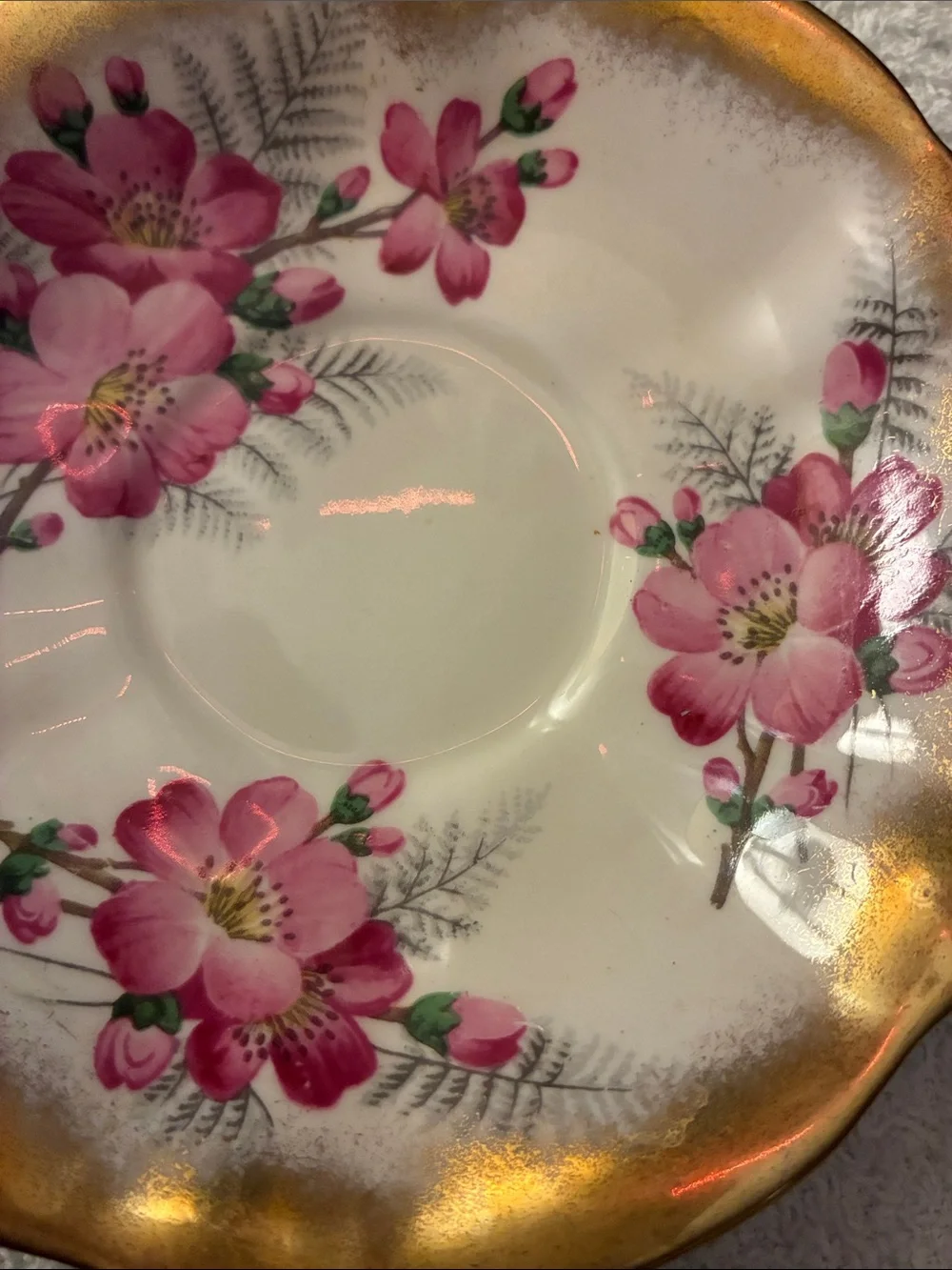 Queen Anne Bone China saucer